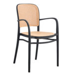 ΠΟΛΥΘΡΟΝΑ ΚΗΠΟΥ CANARY - Image 2