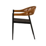 ΠΟΛΥΘΡΟΝΑ ΚΗΠΟΥ LIVINGSTONE - Image 5