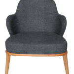 ΠΟΛΥΘΡΟΝΑ CASSIA ΜΕ ΜΠΛΕ ΡΑΦ ΥΦΑΣΜΑ