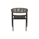 ΠΟΛΥΘΡΟΝΑ ΚΗΠΟΥ LIVINGSTONE - Image 4