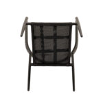 ΠΟΛΥΘΡΟΝΑ ΚΗΠΟΥ LIVINGSTONE - Image 2