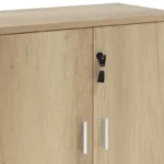 Ντουλάπι γραφείου χαμηλό επαγγελματικό Lotus χρώμα φυσικό ανθρακί 80x40x80εκ - Image 5