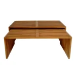 Τραπέζι Tinnie σετ 2τεμ teak ξύλο σε φυσική απόχρωση - Image 6