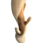 Καλόγερος Renzo suar ξύλο σε φυσική απόχρωση - Image 3