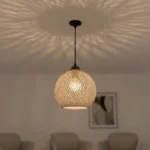 Φωτιστικό οροφής μονόφωτο PWL-0967  Ε27 καφέ-μαύρο Φ23x22εκ - Image 3