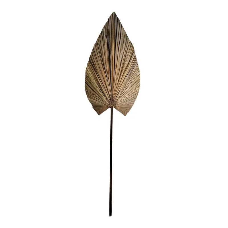 335-000014 Διακοσμητικό φύλλο Leafen φυσικό palm leaf 150 εκ - Image 1