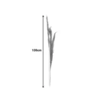 Διακοσμητικό φυτό pampas Beroun σετ των 3τεμ σε φυσική απόχρωση Υ140εκ - Image 4