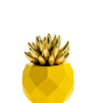 ΠΟΛΥΕΣΤΕΡΙΚΟΣ ΚΑΚΤΟΣ ΠΟΛΥΓΟΝΙΚΟΣ ΚΙΤΡΙΝΟΣ ΜΕ ΧΡΥΣΟ 11Χ9ΕΚ